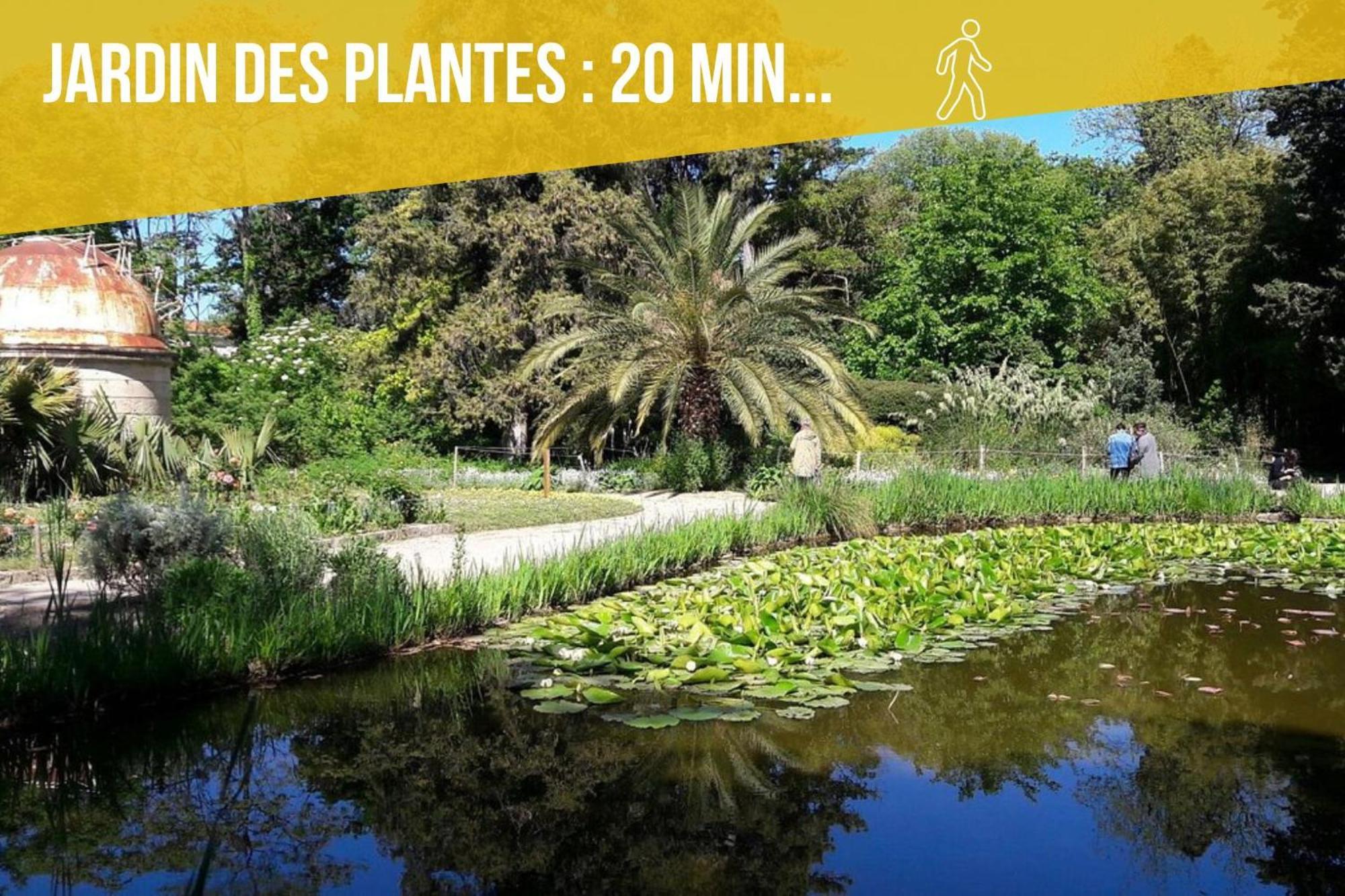 Amja Proche Clinique Saint-Roch Apt 3 Chambres 3 Salles De Bain Parking Gratuit Ideal Famille Groupe Coworking 10 Min Centre Ville 10 Min Plage 5 Min Sortie Autoroute Montpellier Extérieur photo