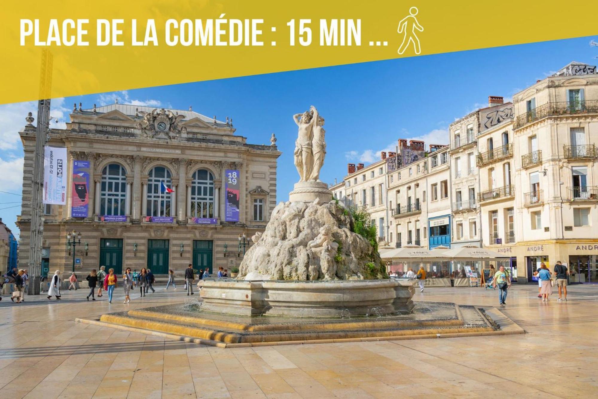Amja Proche Clinique Saint-Roch Apt 3 Chambres 3 Salles De Bain Parking Gratuit Ideal Famille Groupe Coworking 10 Min Centre Ville 10 Min Plage 5 Min Sortie Autoroute Montpellier Extérieur photo